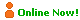 3―Online